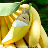 Banana Rabbit Model