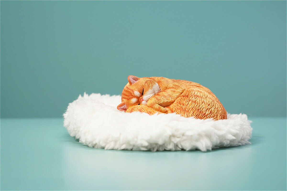JXK 1/6 Lethargic Cat 3.0 Model