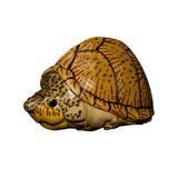 Animal Planet 08 Turtle Blind Box Model