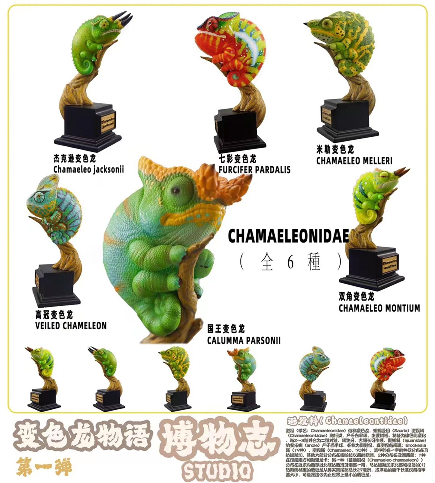 Chamaeleonidae Blind Box Model