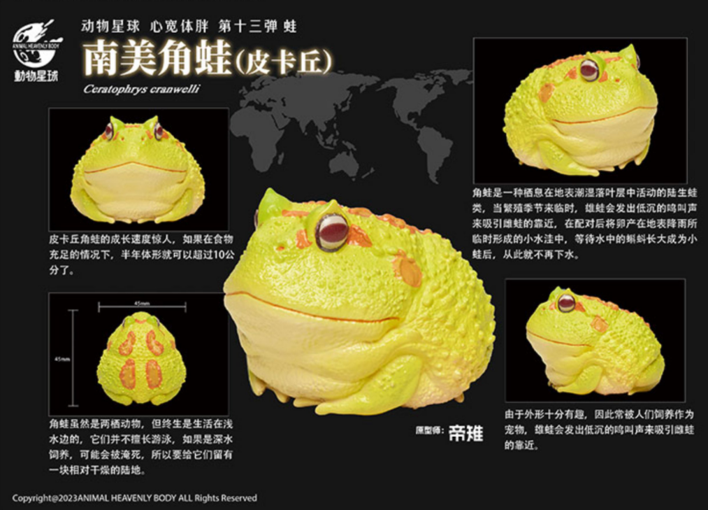 Animal Planet 13 Frog Blind Box Model