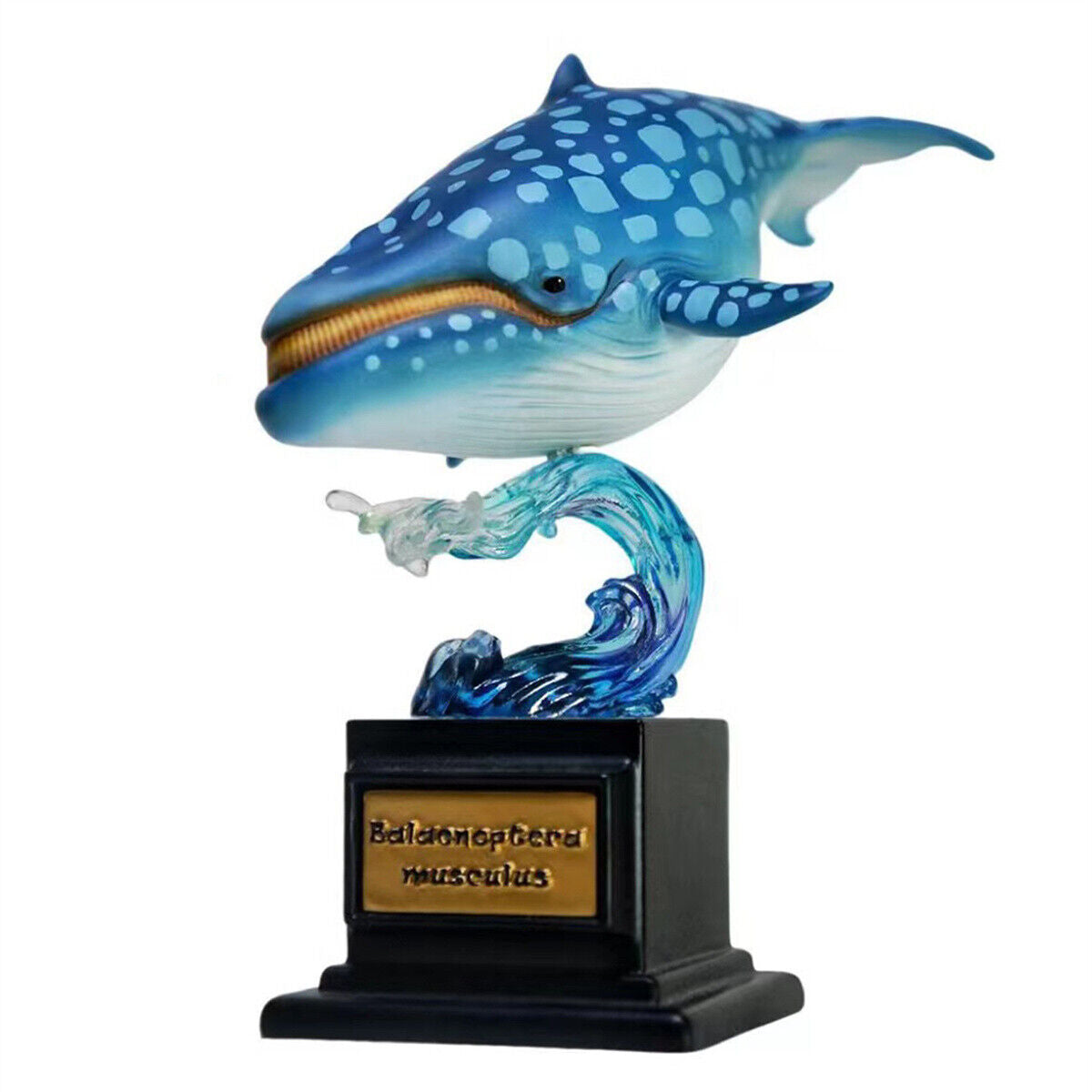 Whale Blind Box Model