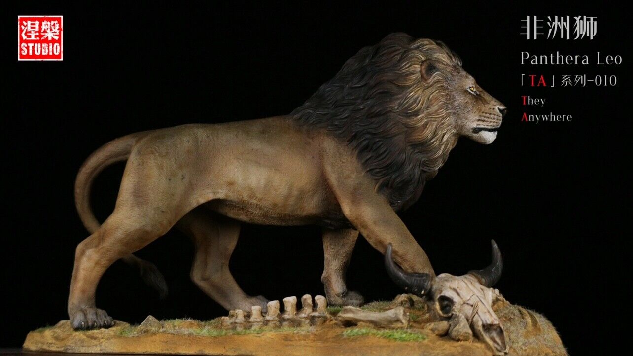 Panthera Leo TA Series-10 African Lion Model