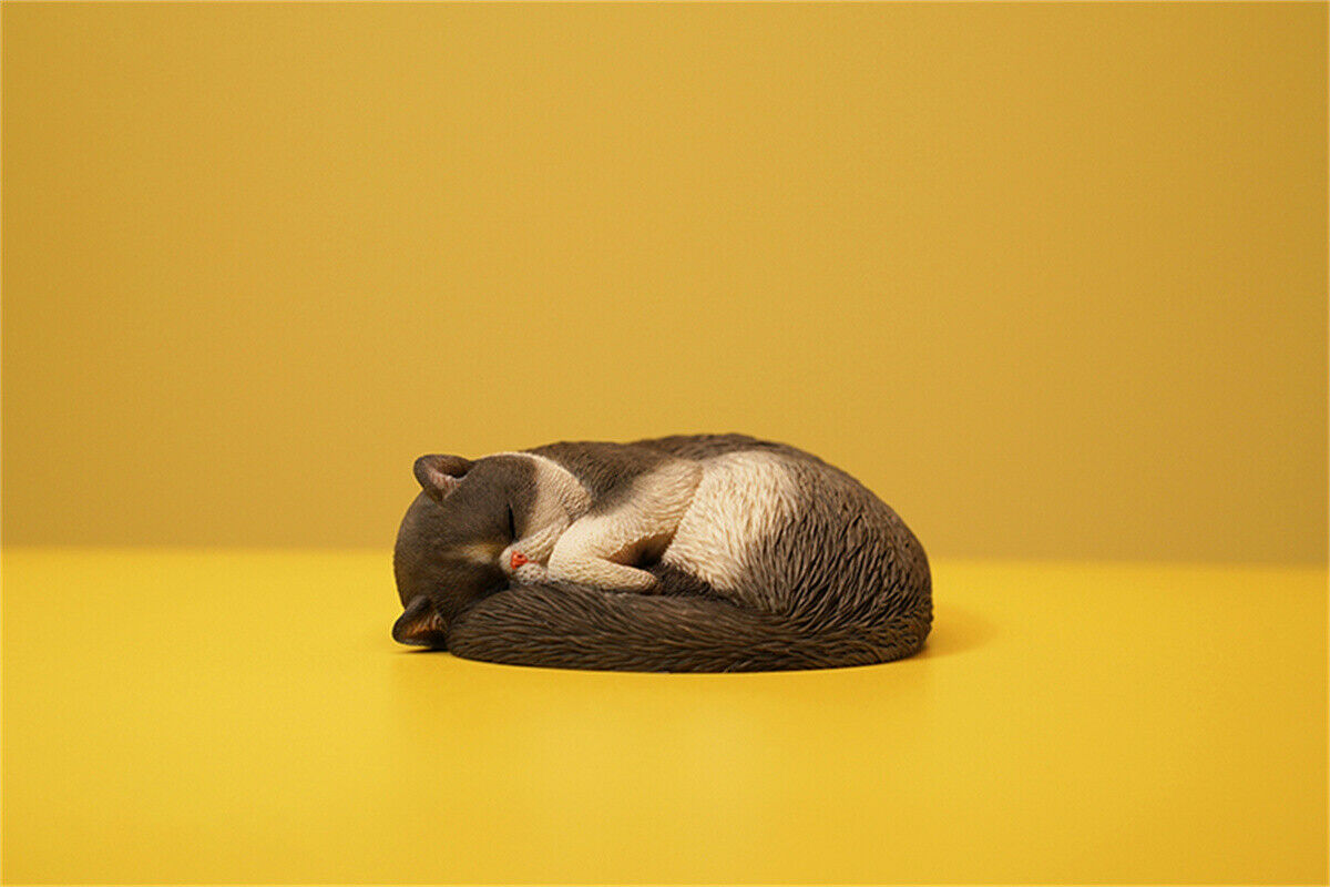 JXK 1/6 Lethargic Cat 3.0 Model