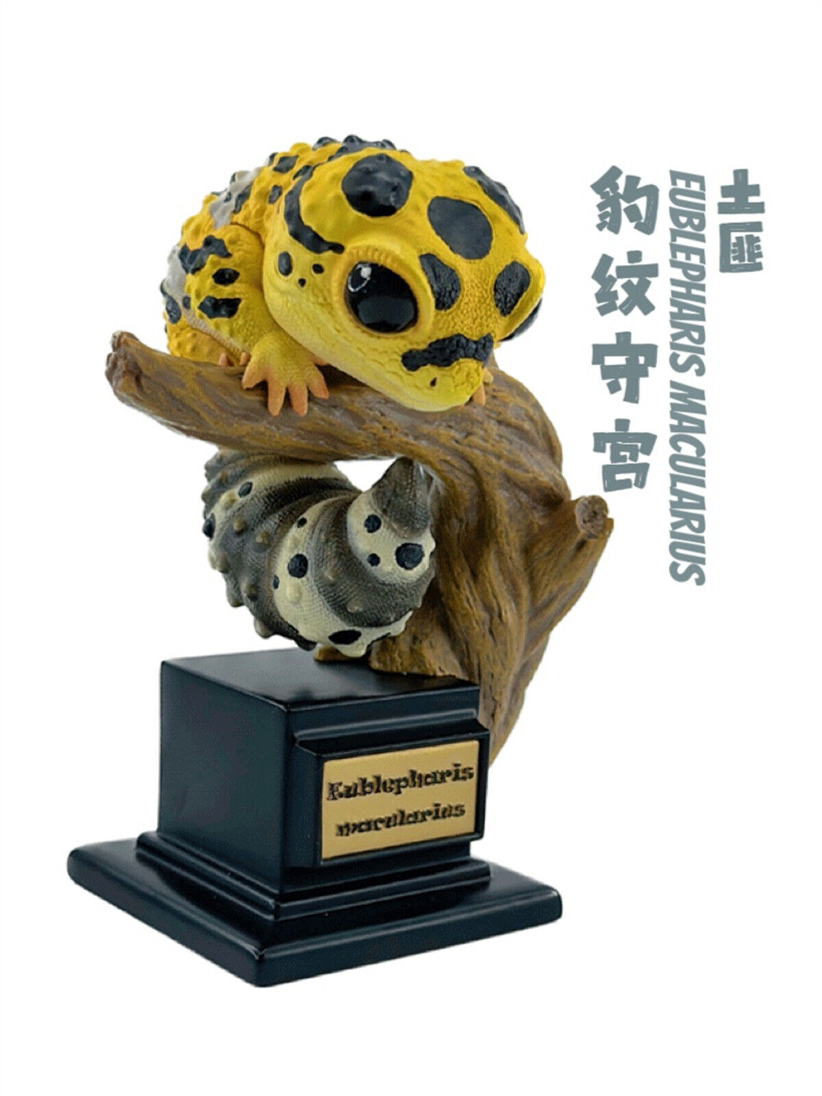 Gekko Gecko 02 Series Blind Box Model