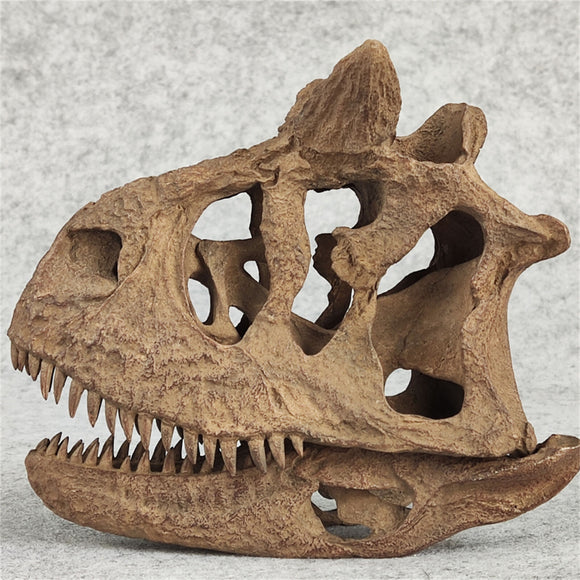 1/4 Carnotaurus Skull Skeleton Model