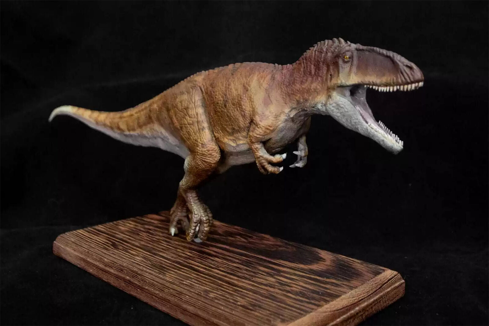 VWUVWU 1/35 Carcharodontosaurus Model