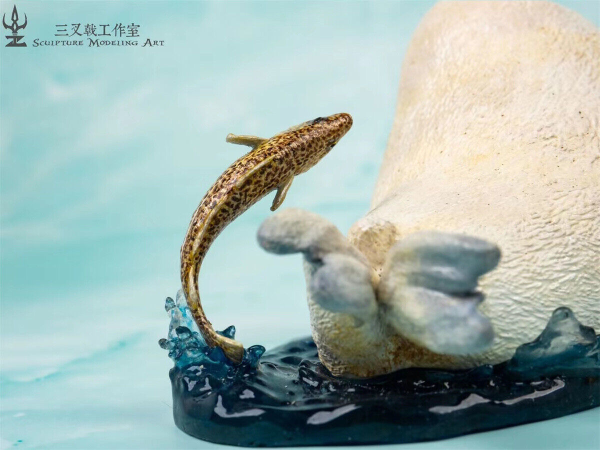 Seal Play With Gadus Model