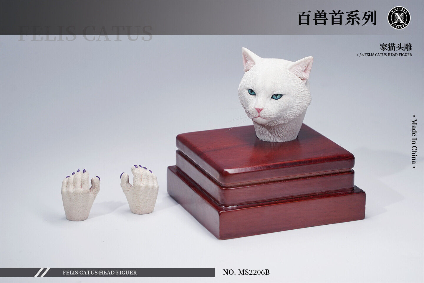 Mostoys 1/6 Felis Catus Head Figure