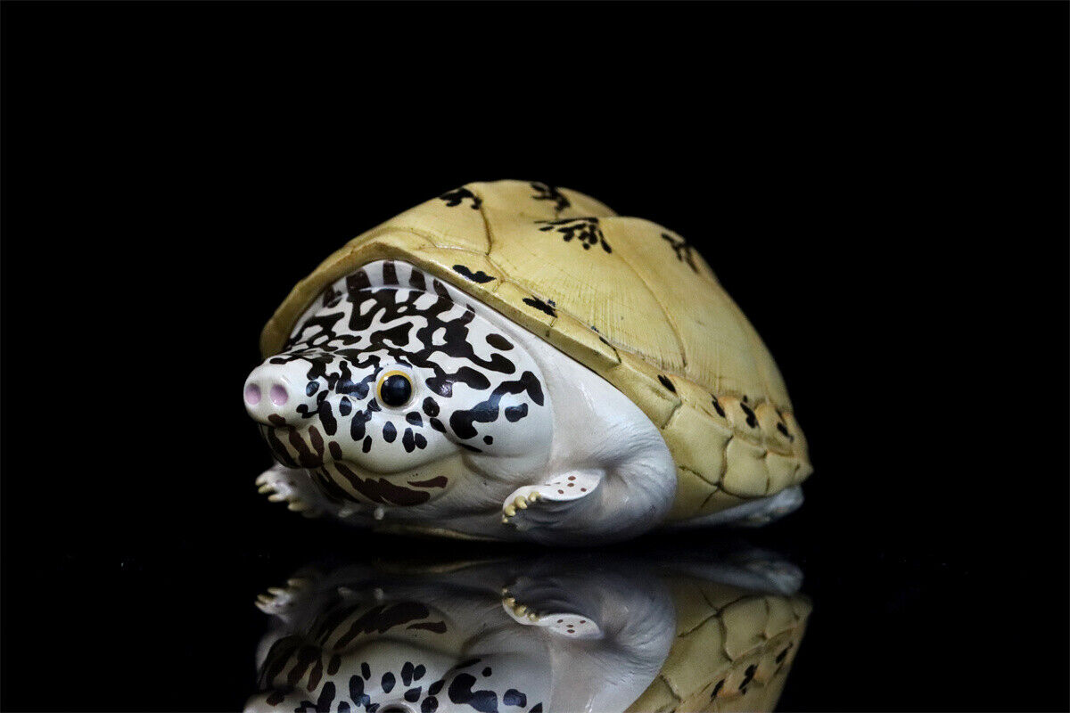 Animal Planet 08 Turtle Blind Box Model