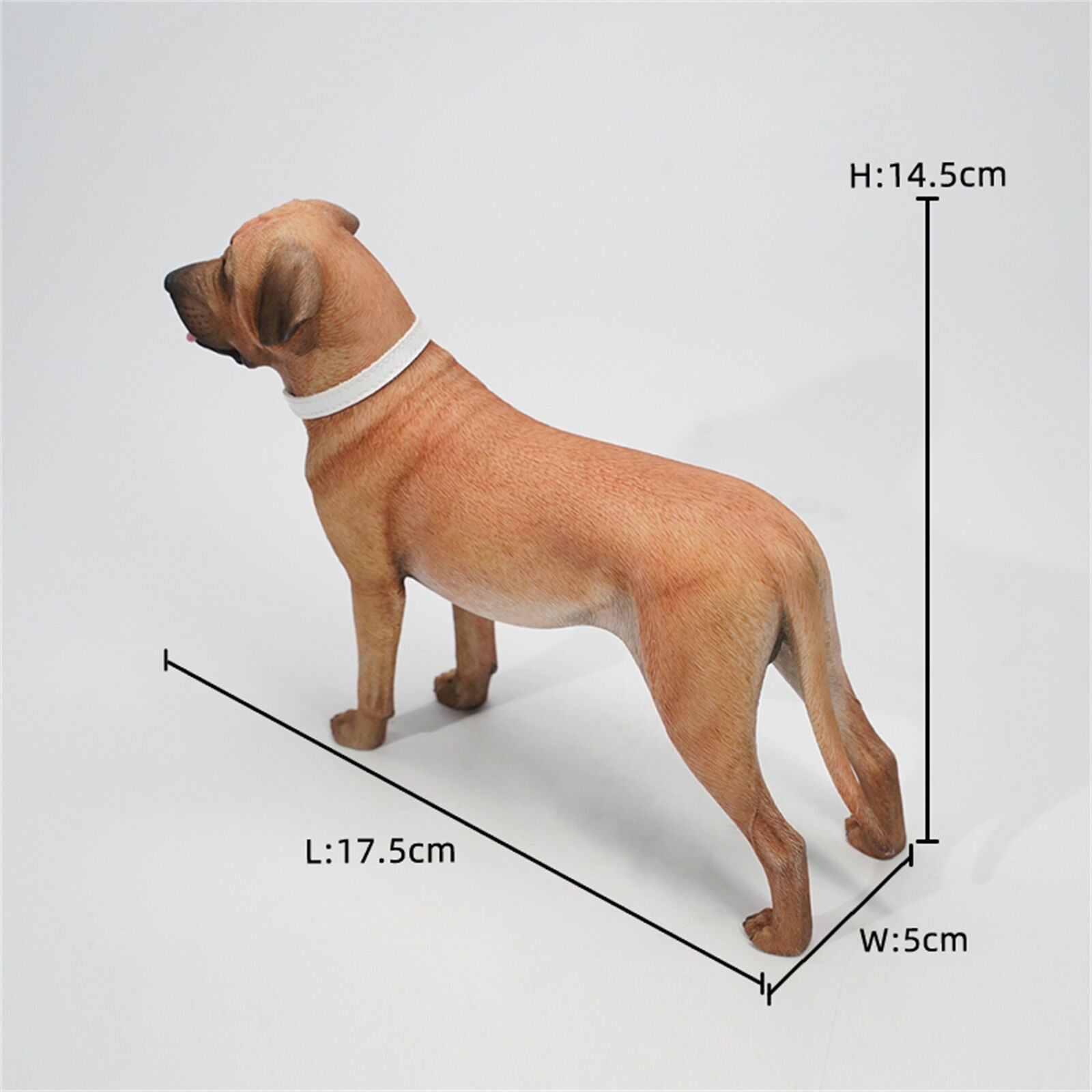 JXK 1/6 Tosa Inu Model