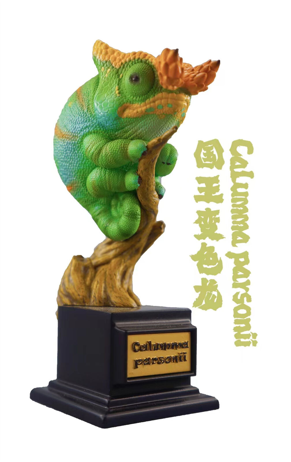 Chamaeleonidae Blind Box Model