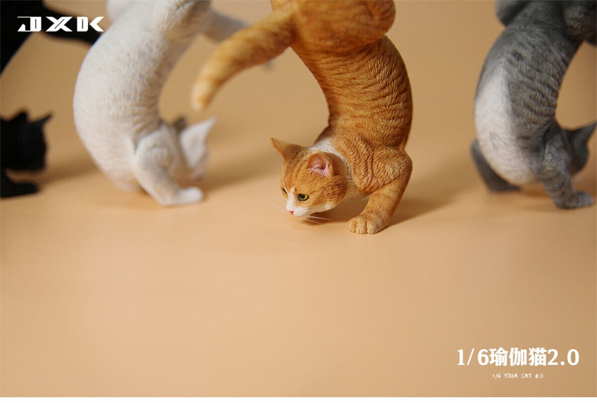 JXK 1/6 Yoga Cat 2.0 Model