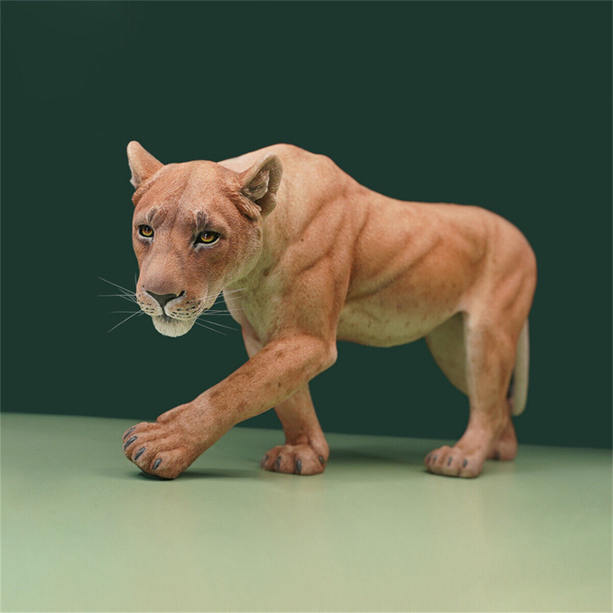 JXK 1/6 Lioness Model