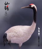 JXK 1/6 Red-crowned Crane Model