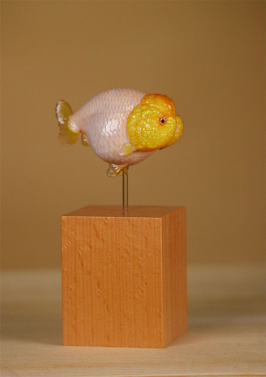 Lanshou Goldfish Model