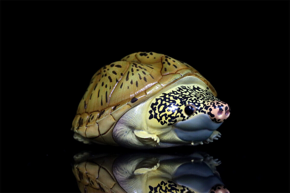 Animal Planet 08 Turtle Blind Box Model