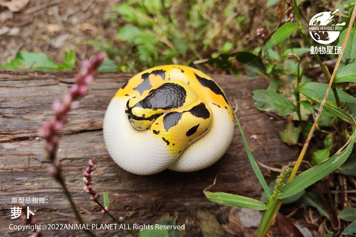 Animal Planet 09 Snake 2.0 Blind Box Model