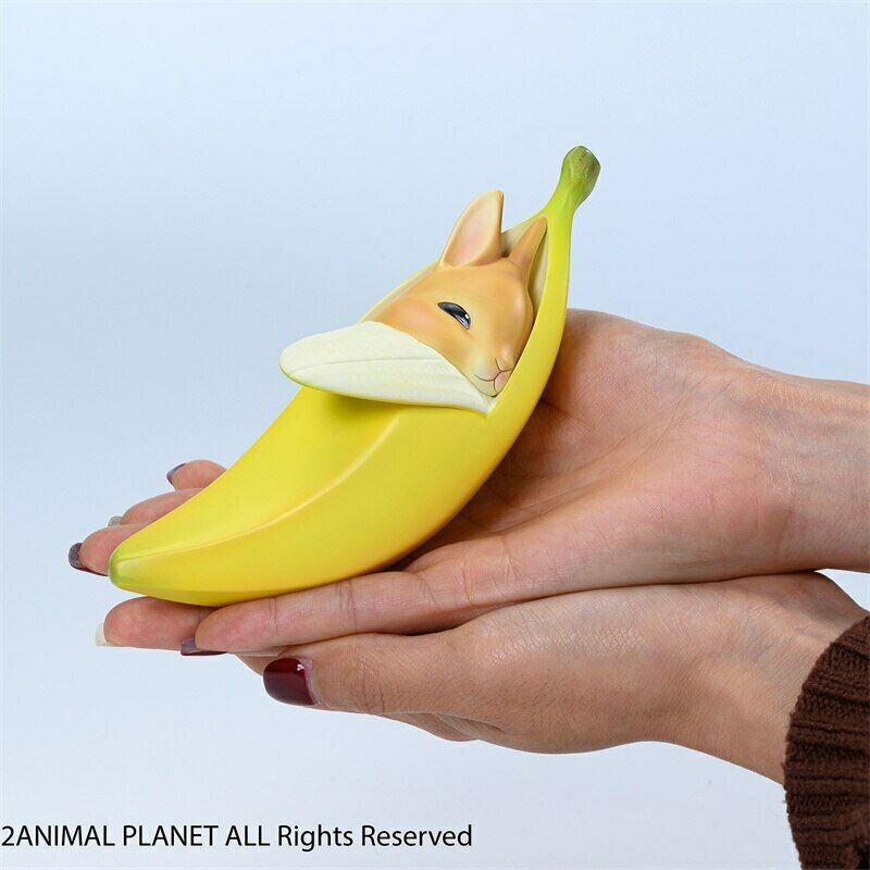Banana Rabbit Model
