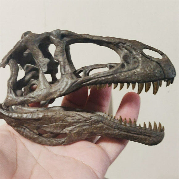 1/10 Acrocanthosaurus Skull Model