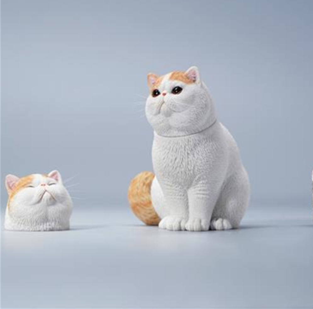 JXK 1/6 Change Head Exoticshorthair Cat Model