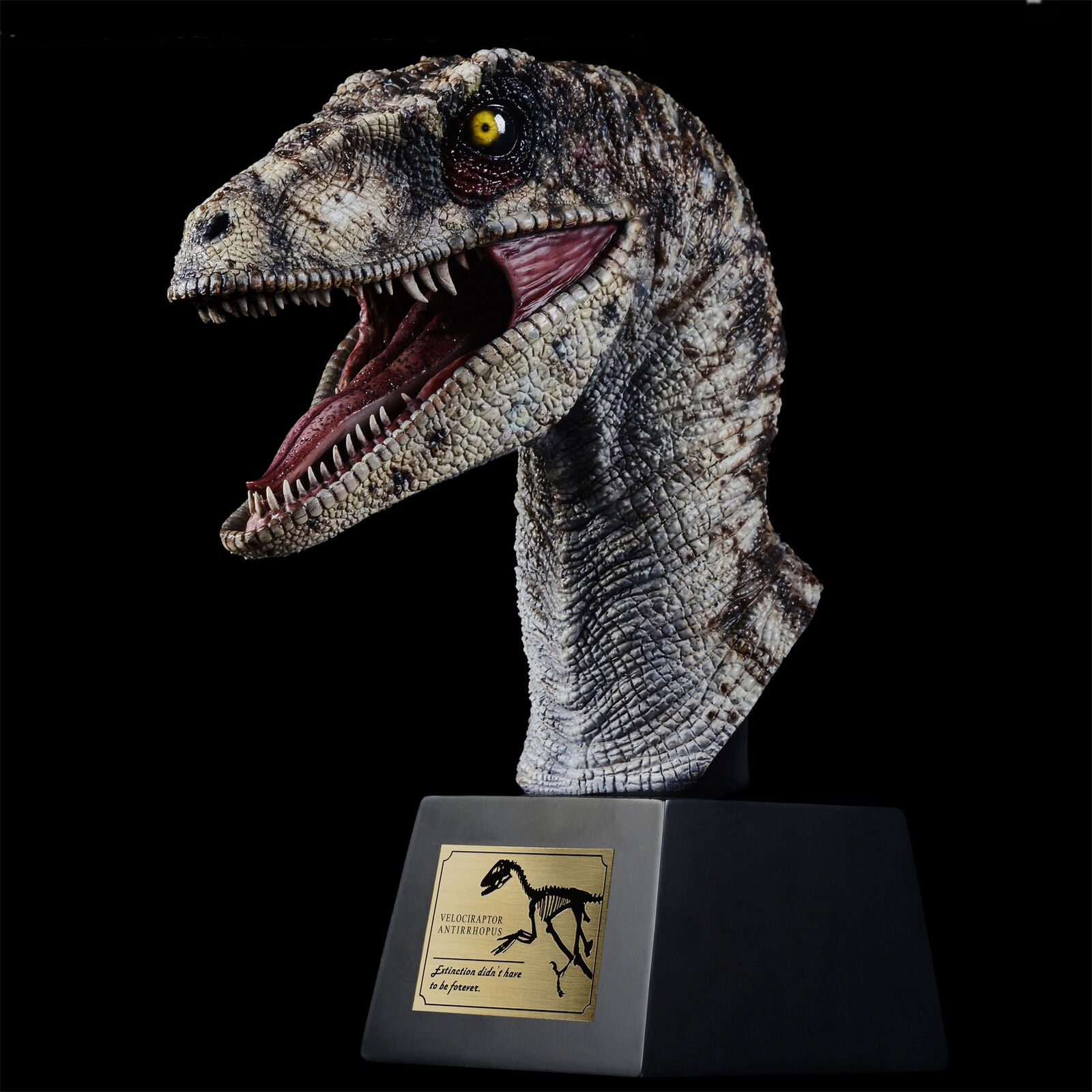 ITOY Velociraptor Antirrhopus Head Bust Model