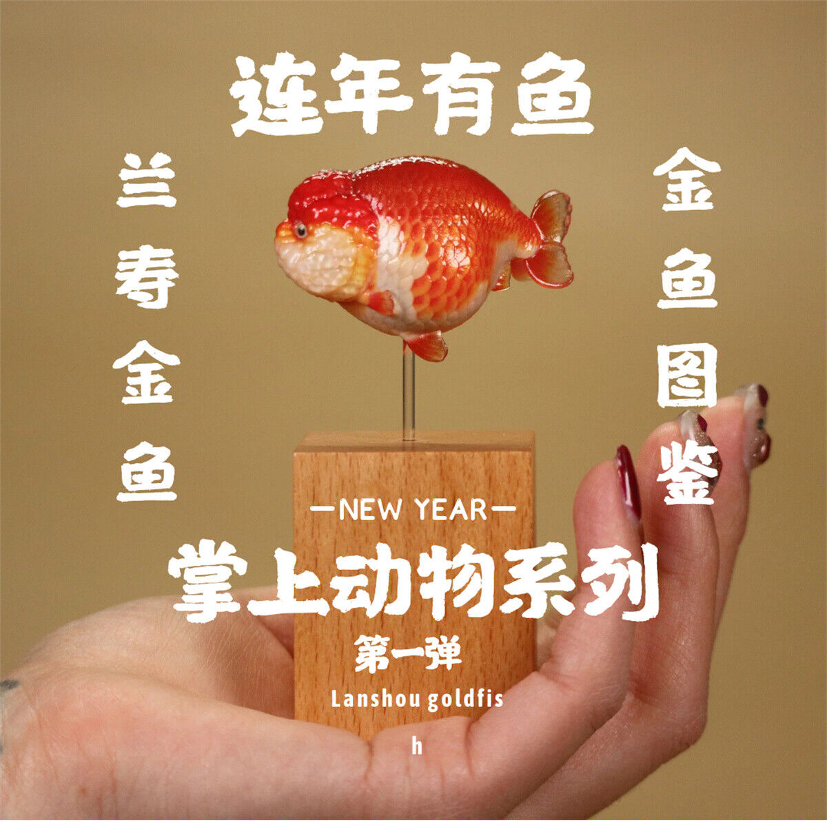 Lanshou Goldfish Model