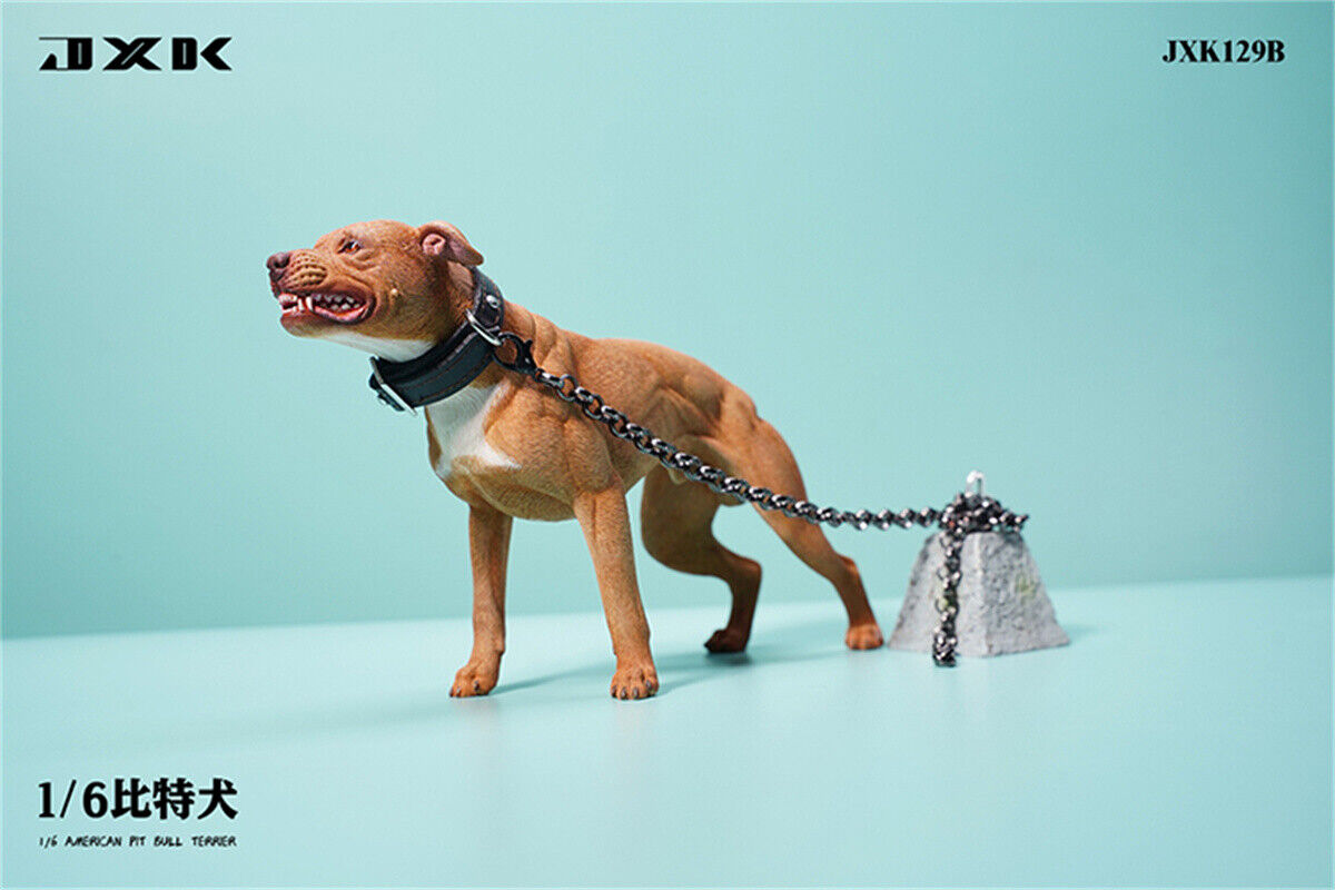JXK 1/6 American Pit Bull Terrier Model