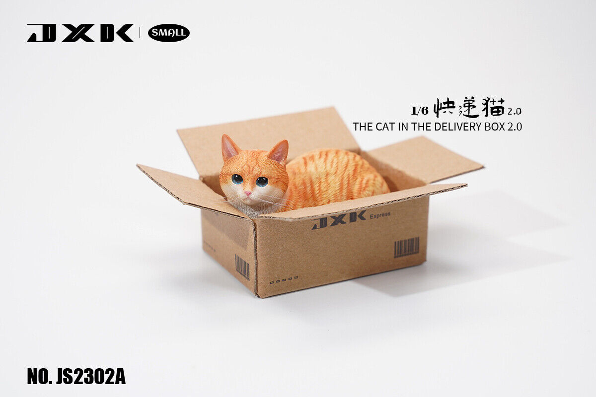 JXK Small The Cat In The Delivery Box 2.0 Model