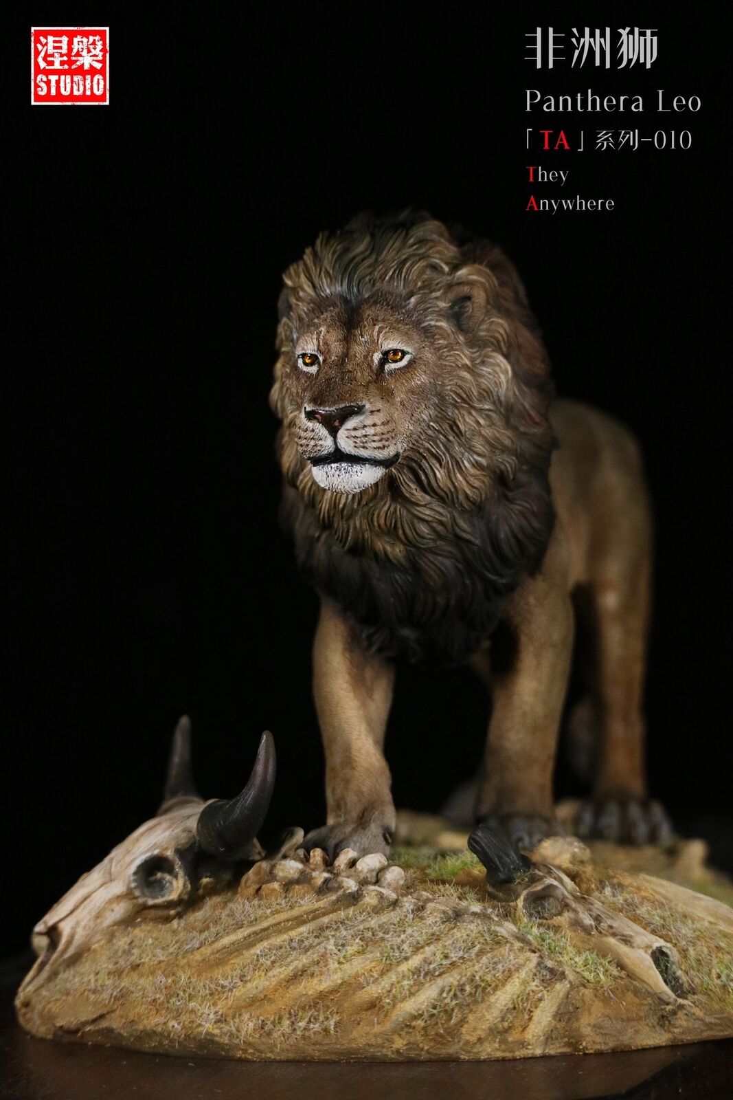 Panthera Leo TA Series-10 African Lion Model