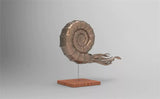 Rheic 1/35 Ammonite Model