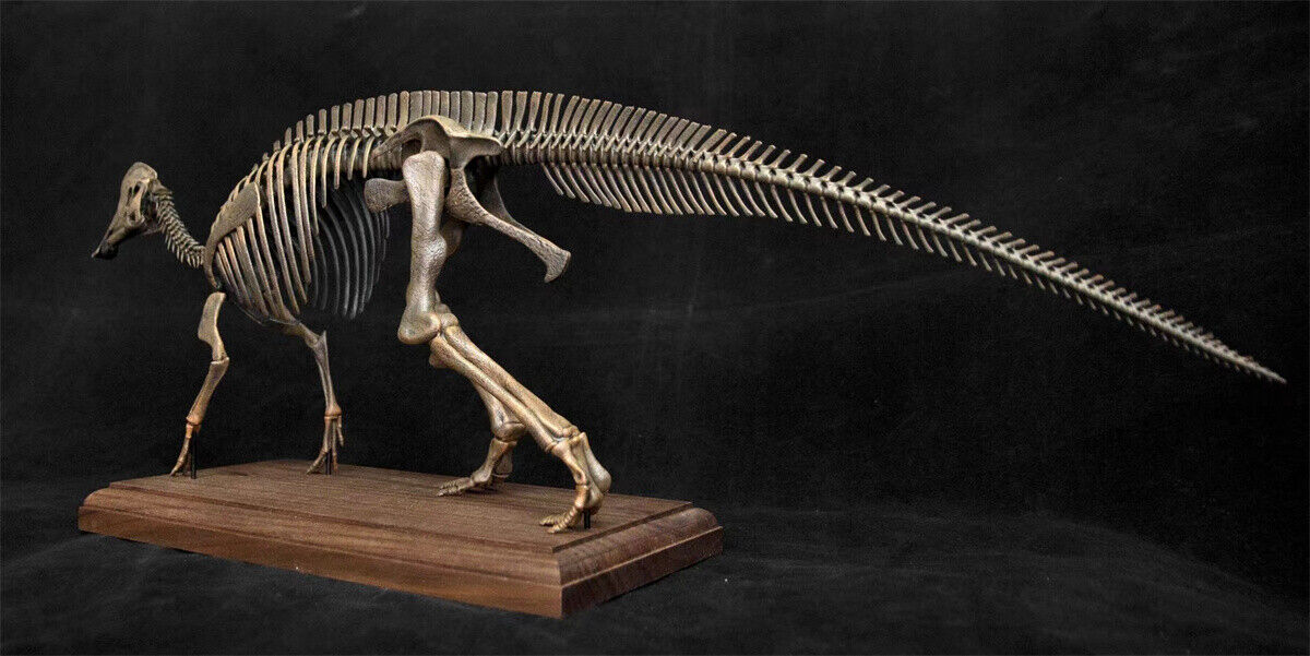 VWUVWU 1/20 Hypacrosaurus Skeleton Model