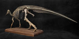 VWUVWU 1/20 Hypacrosaurus Skeleton Model