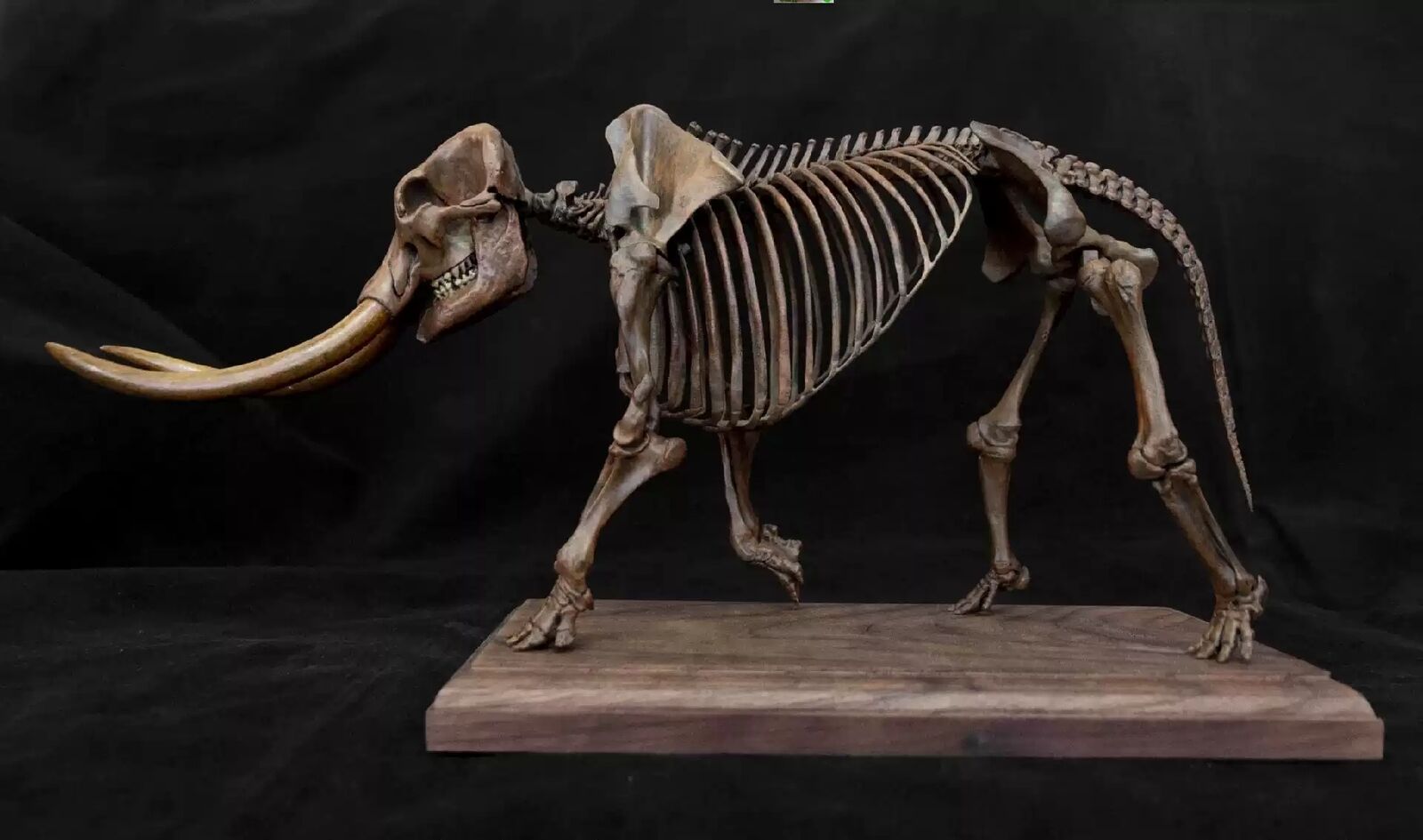 VWUVWU 1/18 Mammut Americanum Skeleton Model
