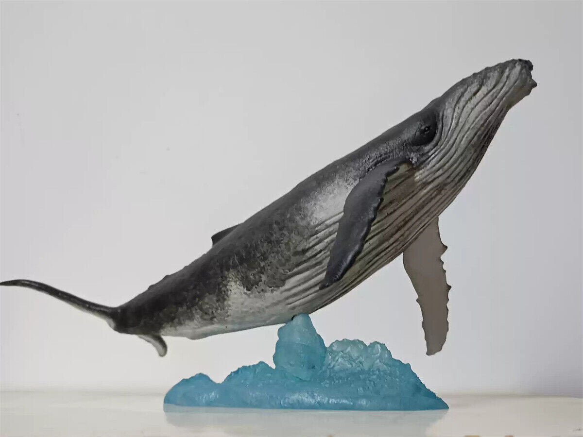 Xifu Studio 1/35 Humpback Whale Model