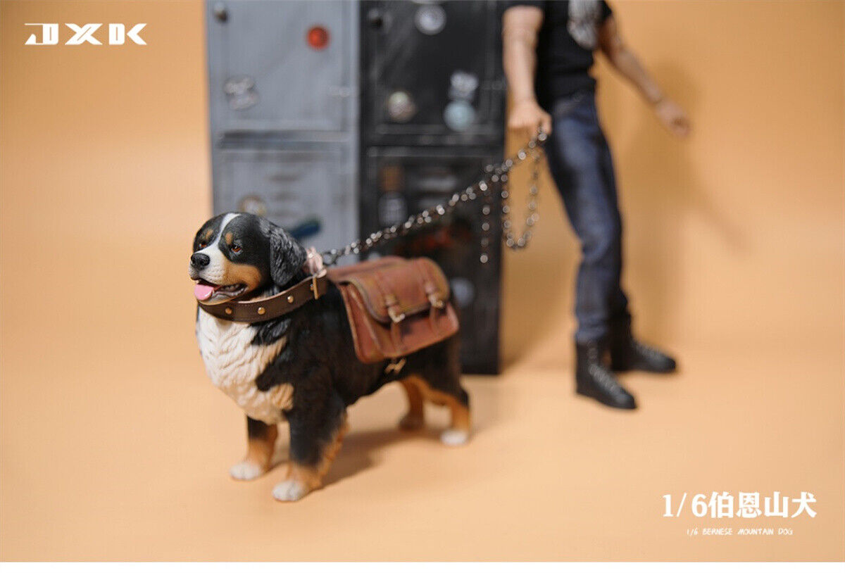 JXK 1/6 Bernese Mountain Dog Model