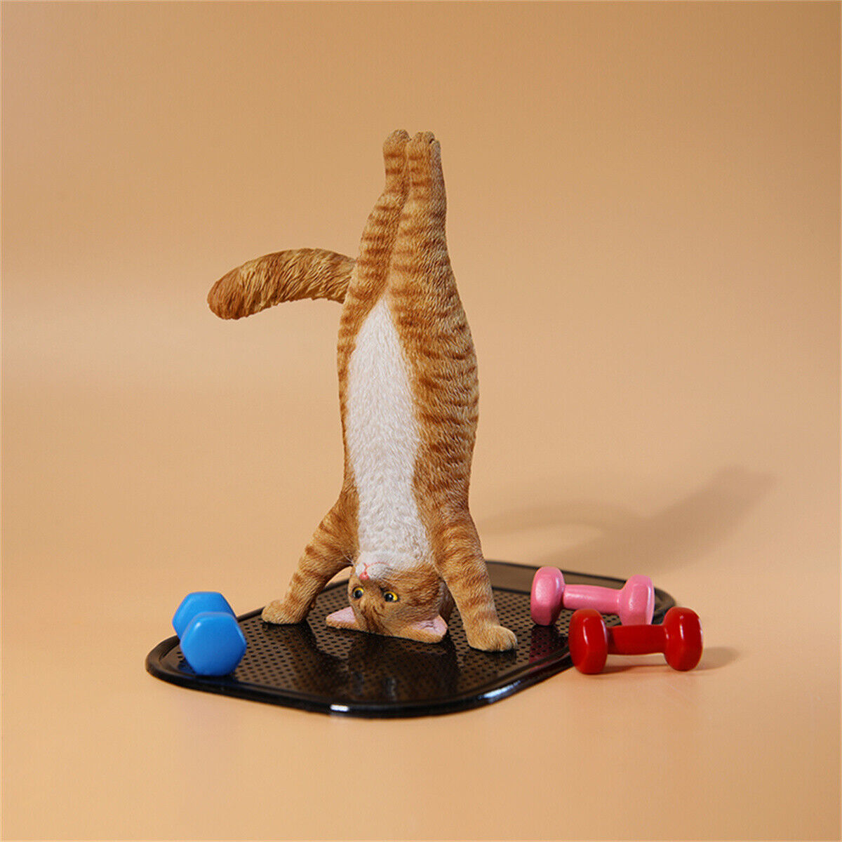 JXK 1/6 Yoga Cat Model