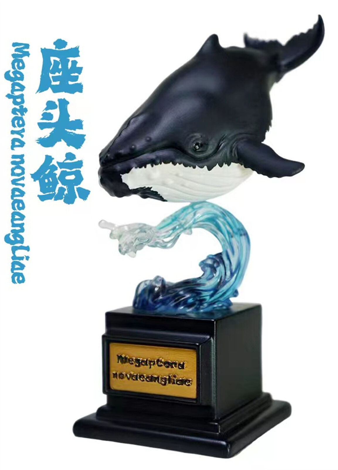 Whale Blind Box Model