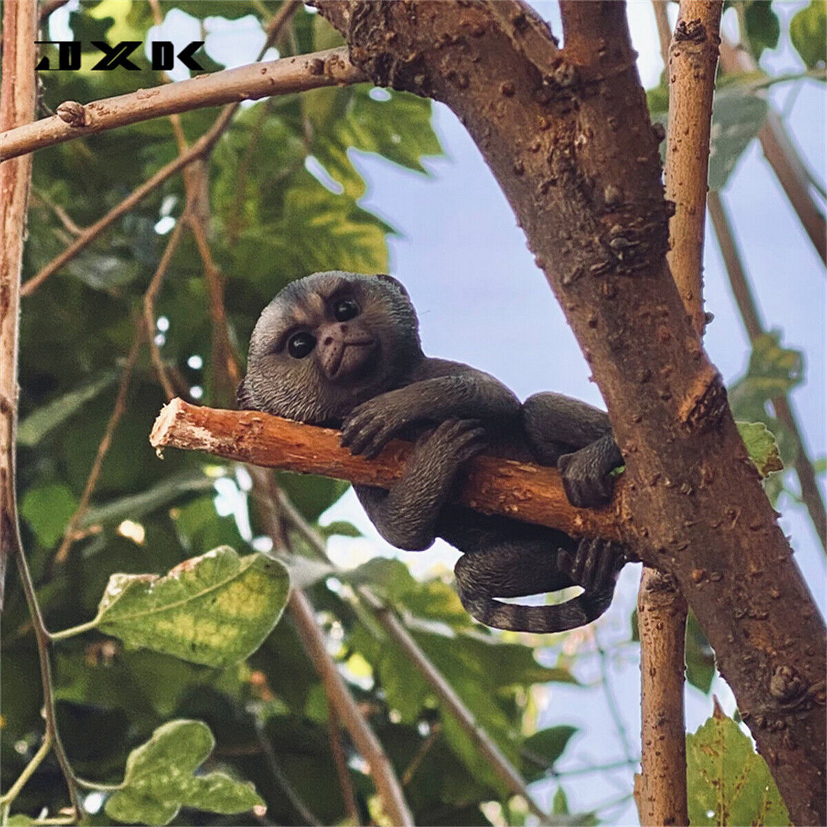 JXK 1/1 Callithrix Jacchus Model