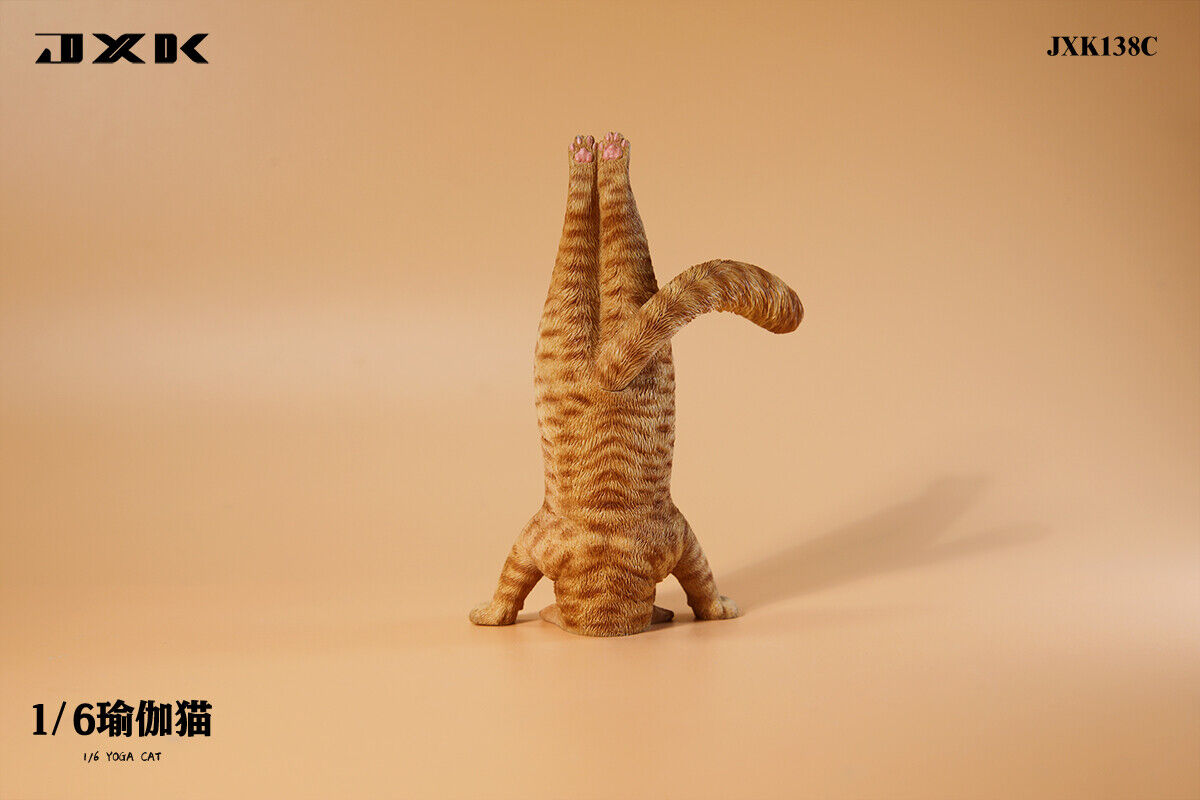 JXK 1/6 Yoga Cat Model