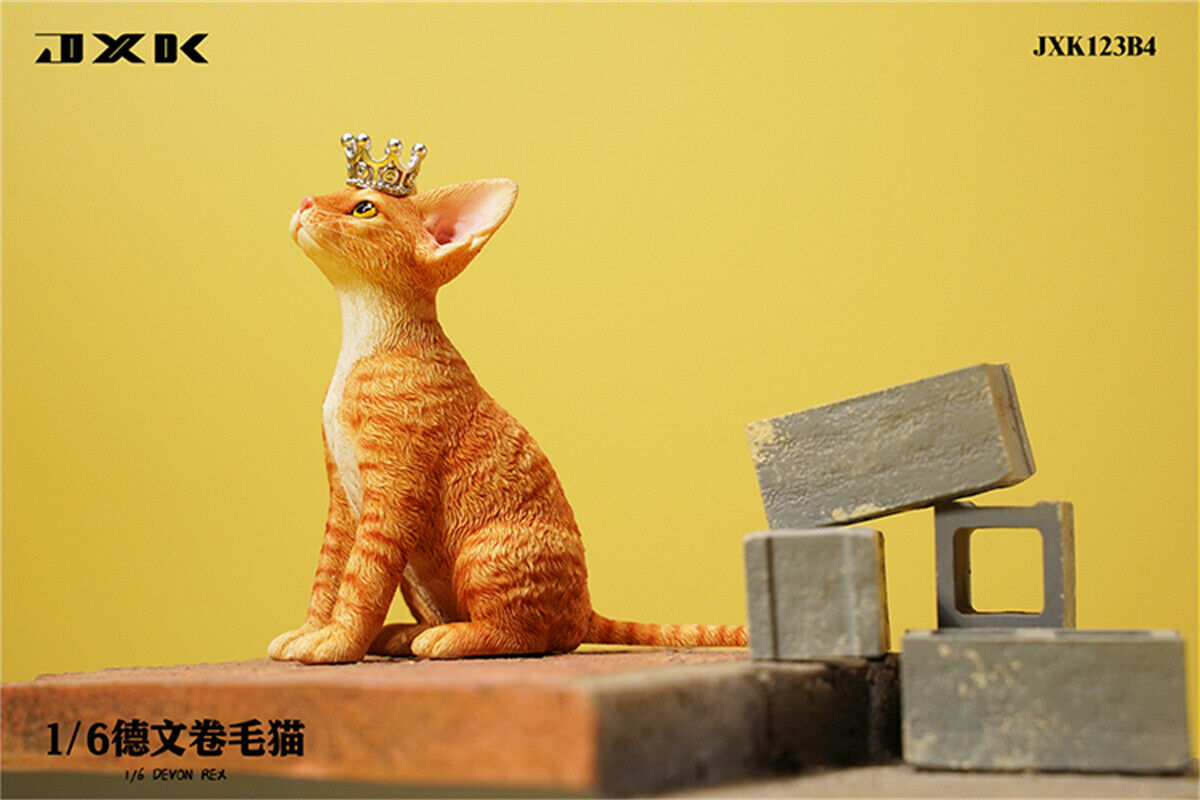 JXK 1/6 Devon Rex Model