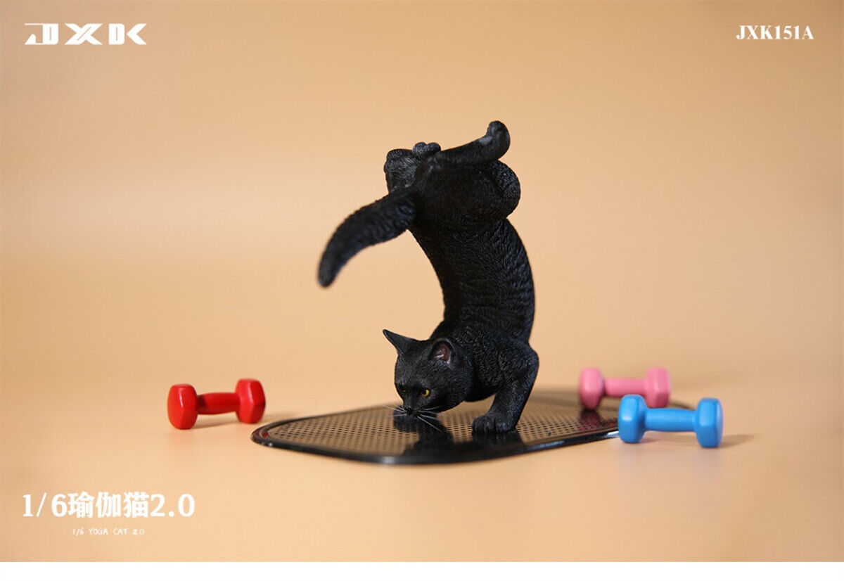 JXK 1/6 Yoga Cat 2.0 Model
