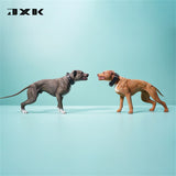 JXK 1/6 American Pit Bull Terrier Model