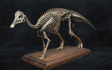 VWUVWU 1/20 Hypacrosaurus Skeleton Model