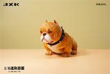 JXK 1/6 Mini Bully Dog Model