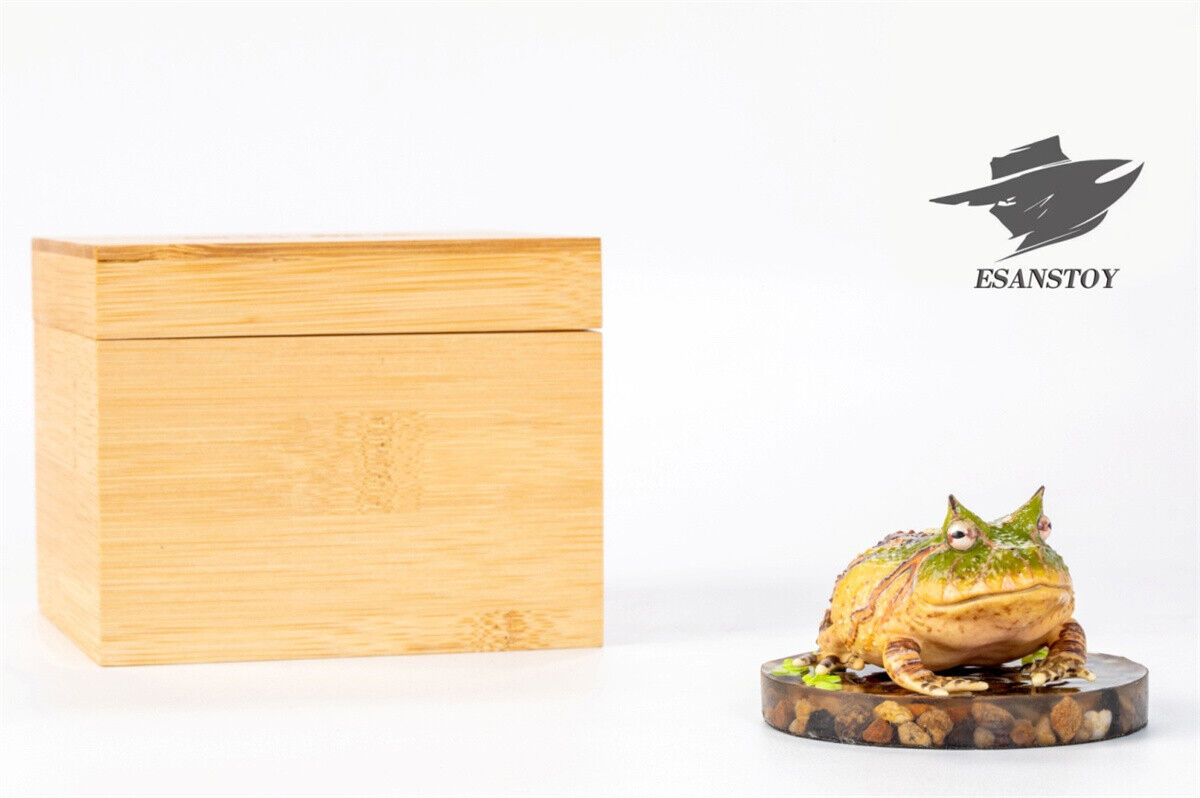 ESANSTOY Surinam Horned Frog Model