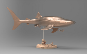 Rheic 1/35 Whale Shark Model