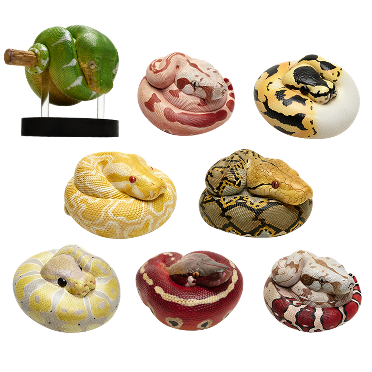 Animal Planet 09 Snake 2.0 Blind Box Model