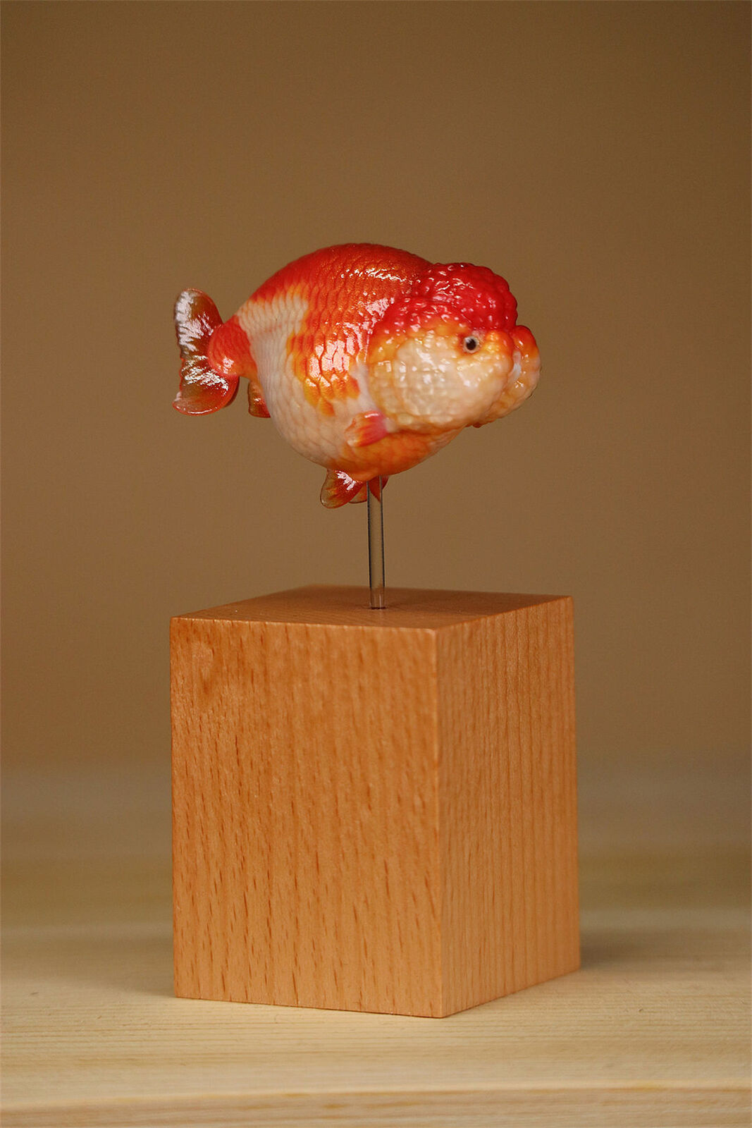 Lanshou Goldfish Model