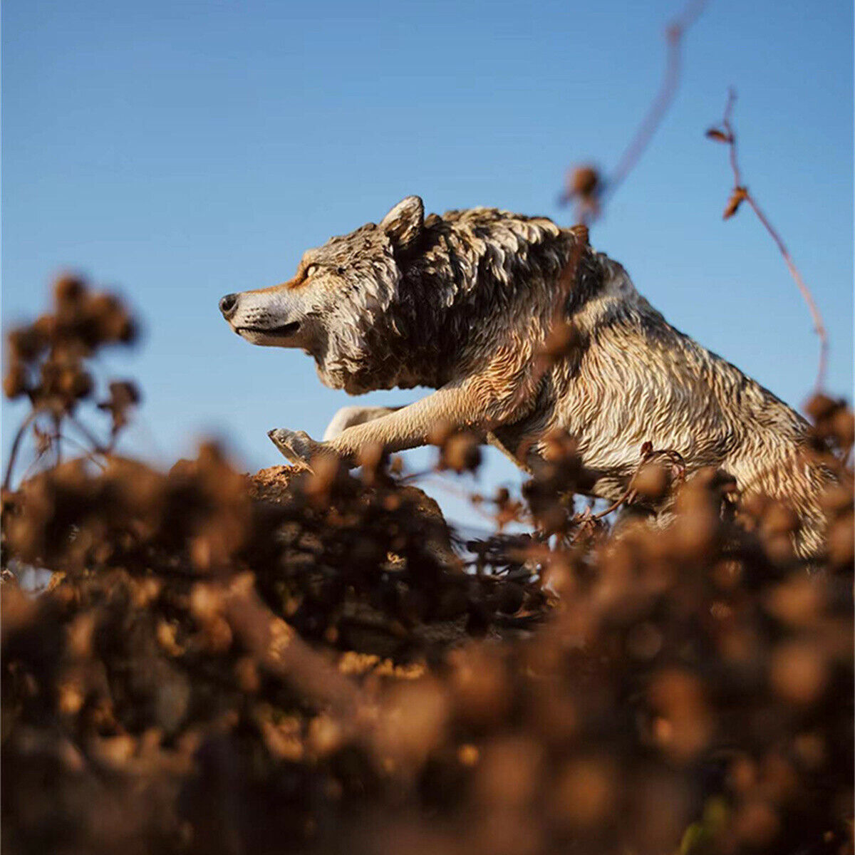 JXK 1/6 North American Gray Wolf Model